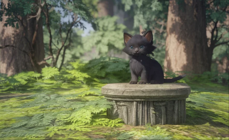 black kitten lunala doli ffxiv