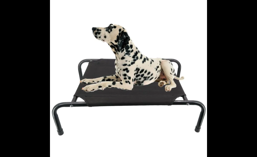 Dog Bed Wholesaler